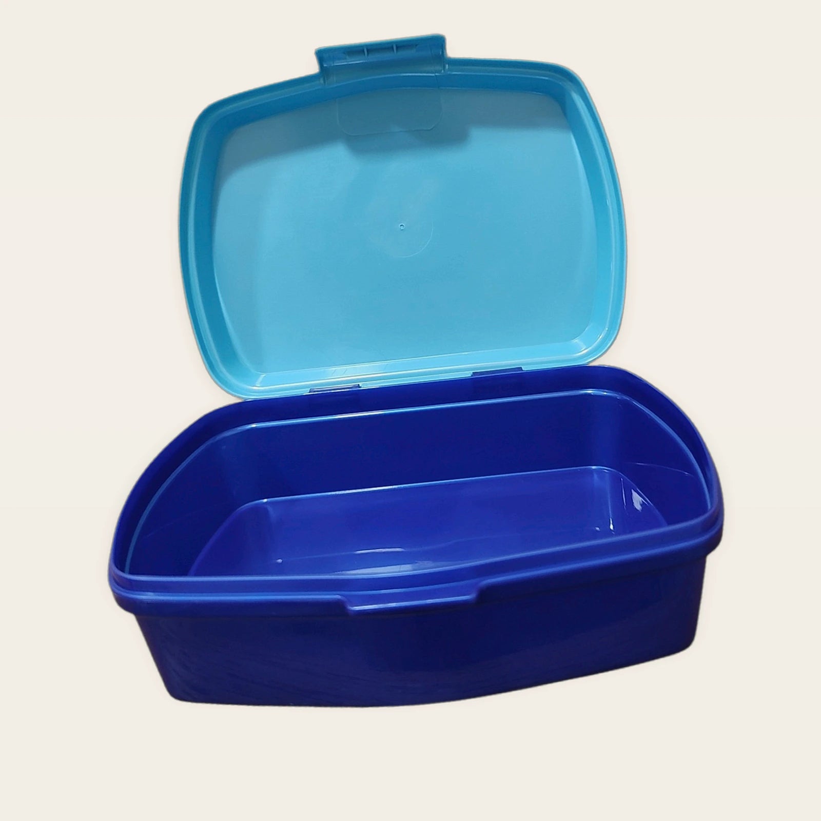 Sandwichera infantil Bluey abierta