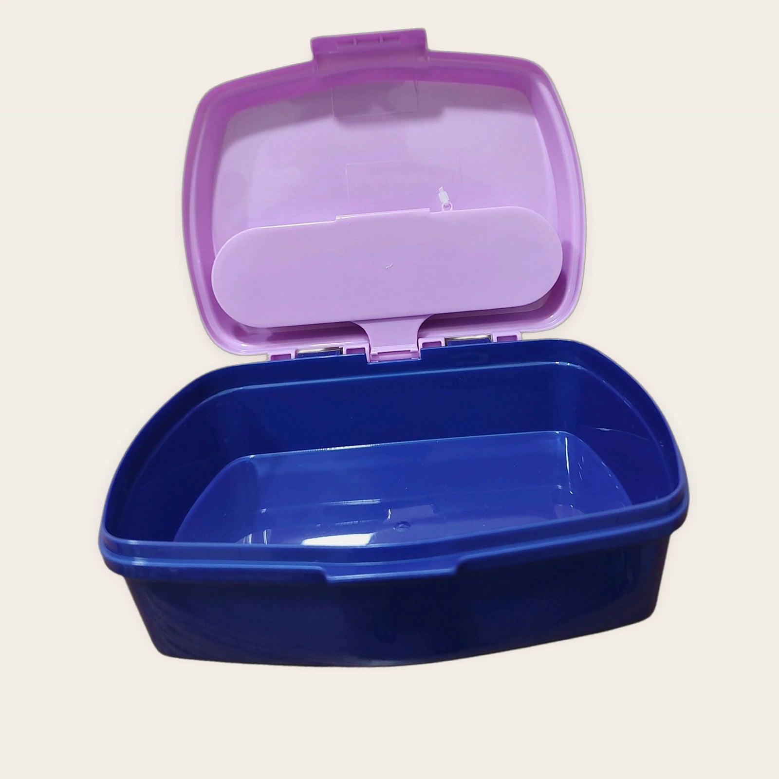 Sandwichera infantil Frozen abierta